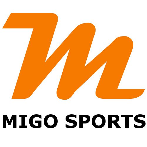 MigoLogo4